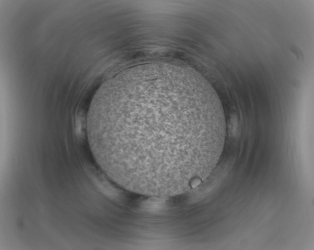 X0000115210138200911121912