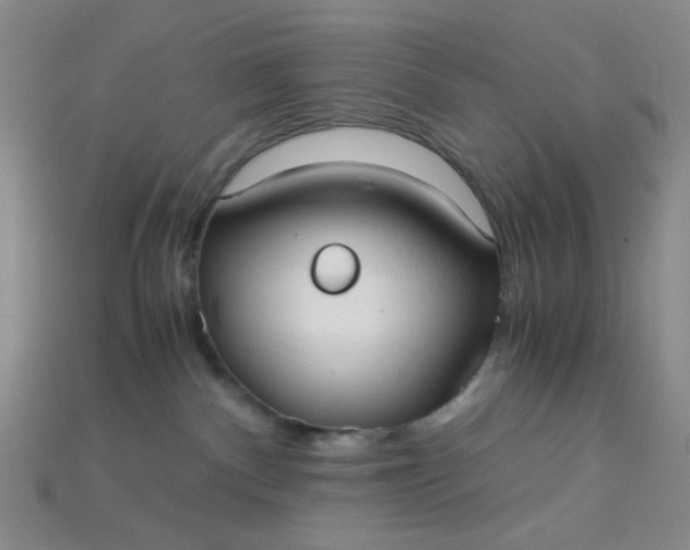 X0000115210140200911121912