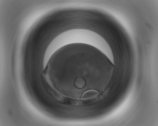 X0000115210143200911121912