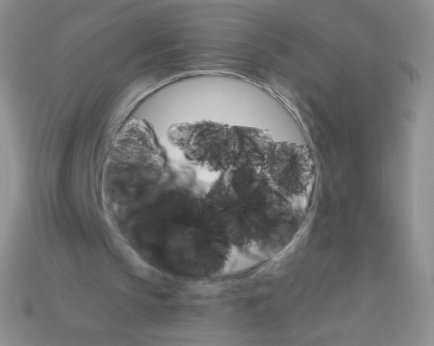 X0000115210145200911121911