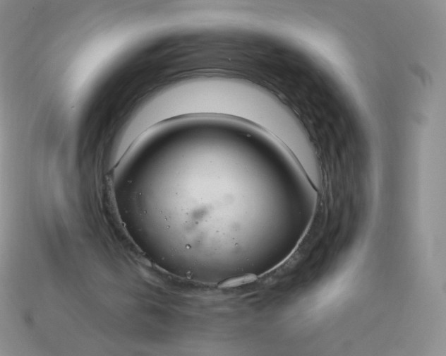 X0000115210146200911121911