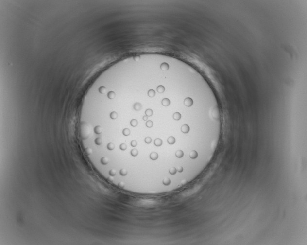 X0000115210153200911121911
