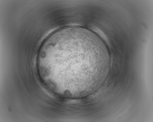 X0000115210155200911121911