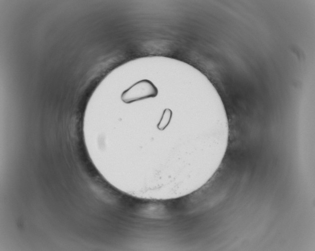 X0000115210162200911121911