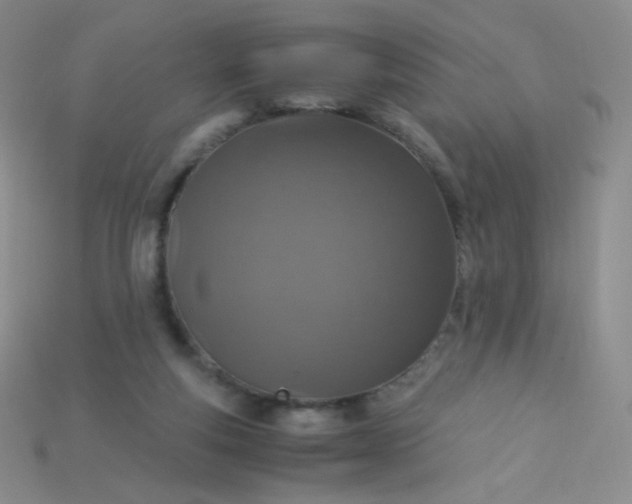 X0000115210163200911121911