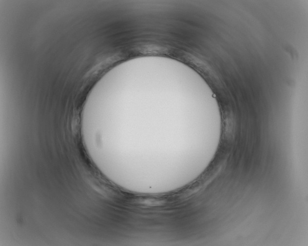 X0000115210165200911121911