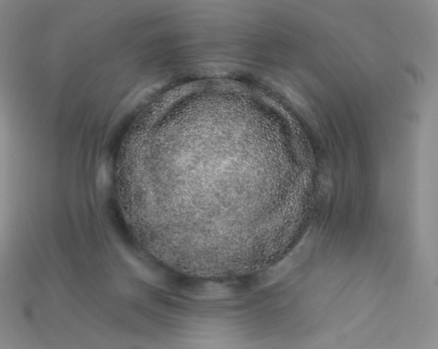 X0000115210166200911121911