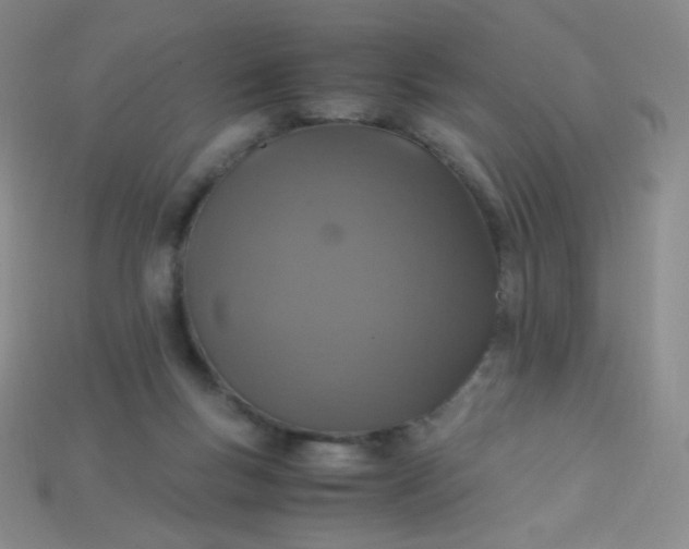 X0000115210167200911121911