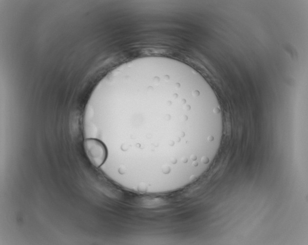 X0000115210169200911121911