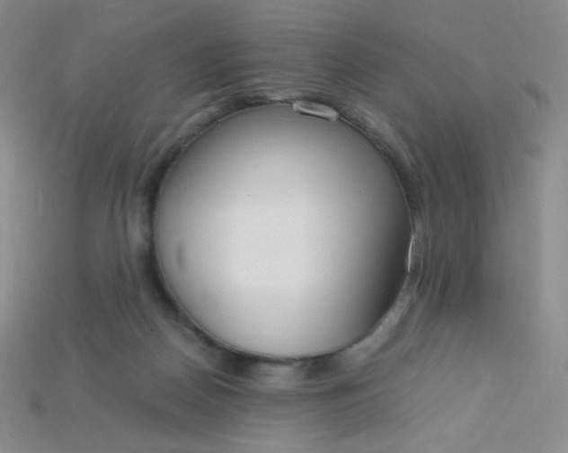 X0000115210170200911121911