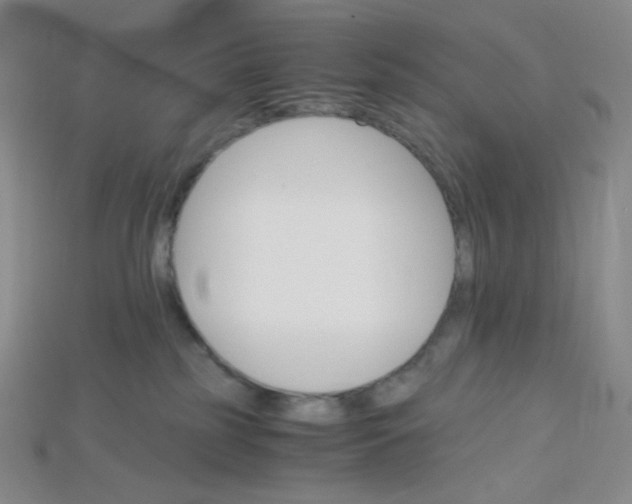 X0000115210185200911121912