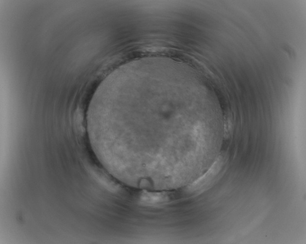 X0000115210187200911121912