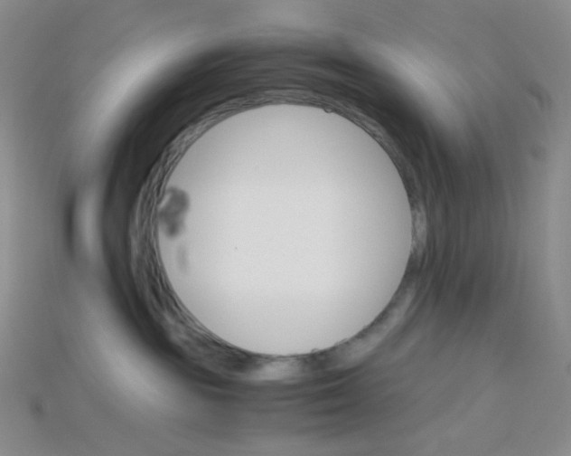 X0000115210189200911121912