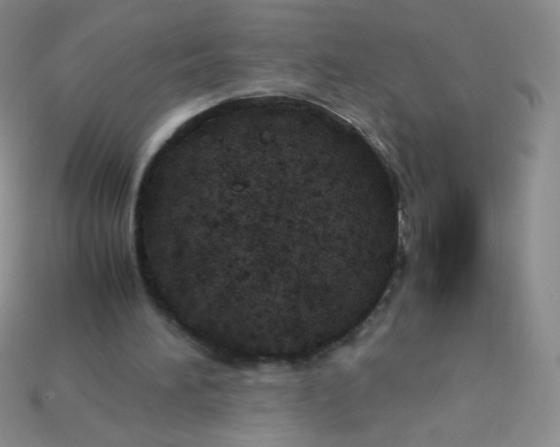 X0000115210196200911121911