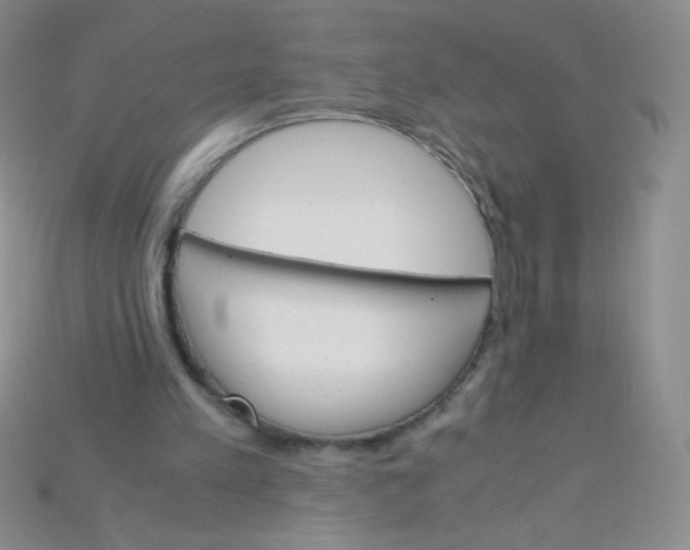 X0000115210197200911121911