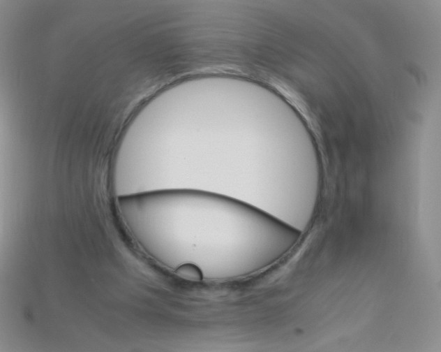 X0000115210201200911121911
