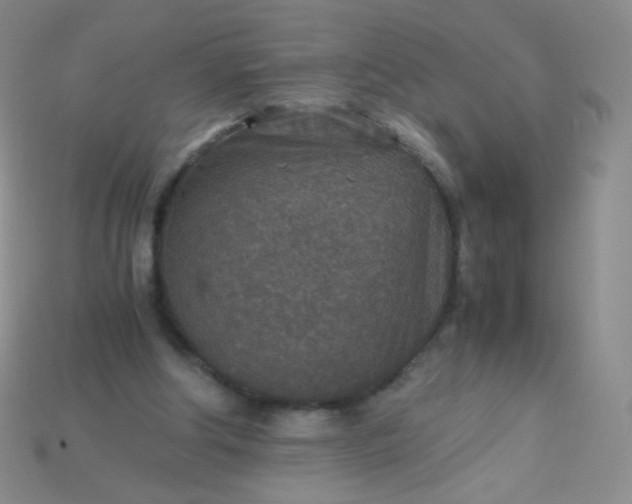 X0000115210202200911121911