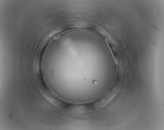 X0000115210203200911121911
