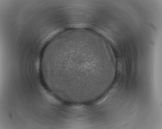 X0000115210206200911121911