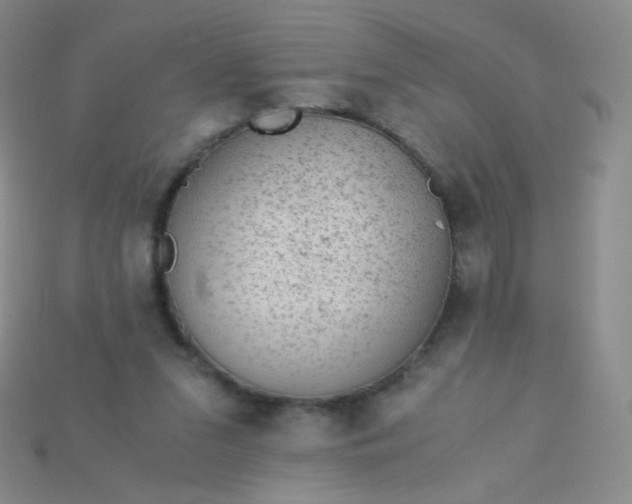 X0000115210207200911121911