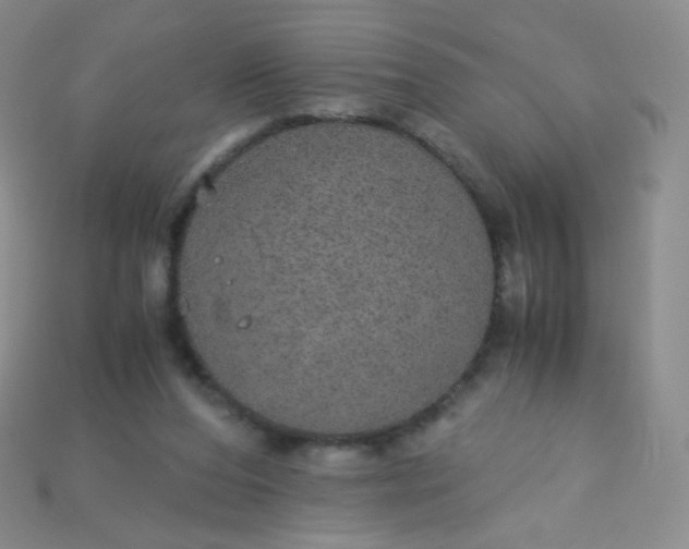 X0000115210208200911121911