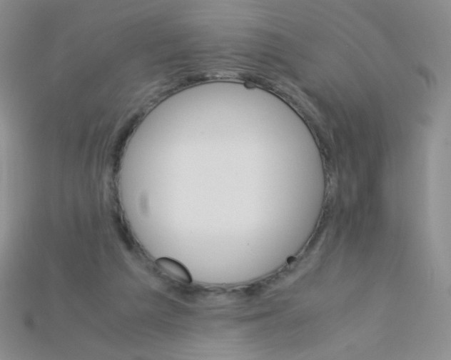 X0000115210209200911121911