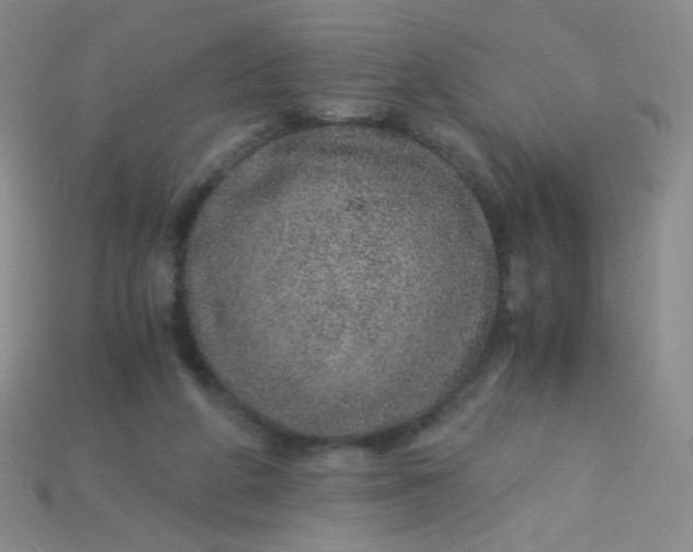 X0000115210210200911121911