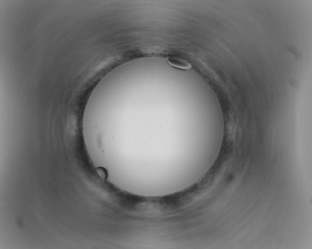 X0000115210211200911121911