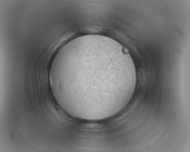 X0000115210212200911121911
