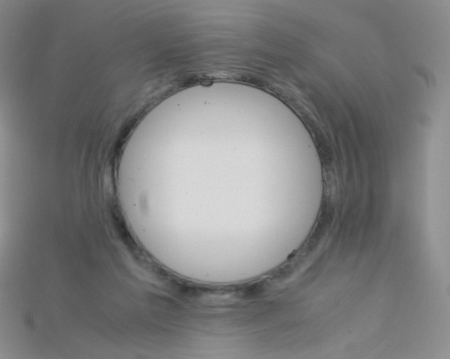 X0000115210213200911121911