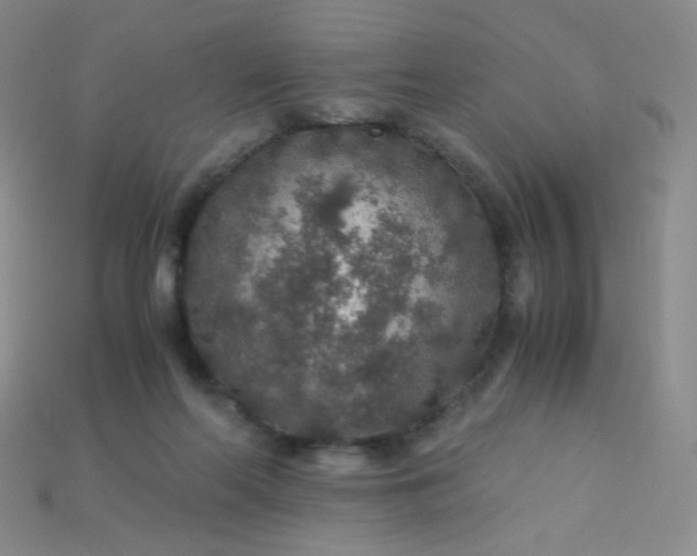X0000115210214200911121911
