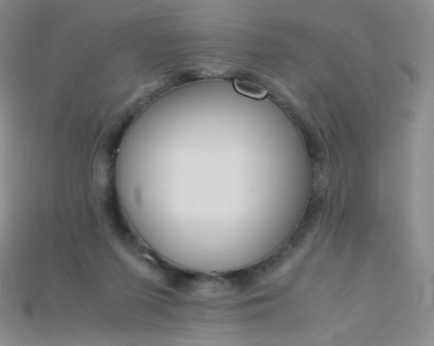 X0000115210215200911121911