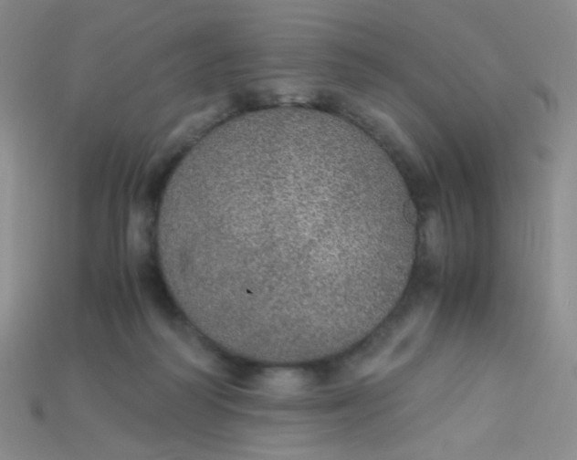 X0000115210218200911121911