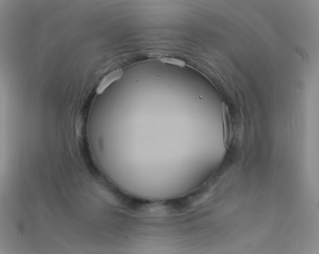 X0000115210219200911121911