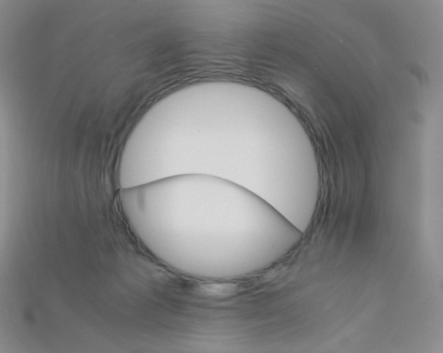 X0000115210221200911121911