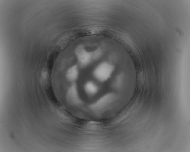 X0000115210222200911121911