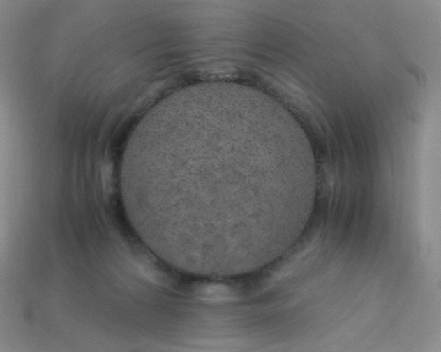 X0000115210224200911121911