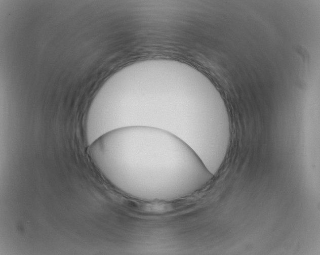 X0000115210225200911121911