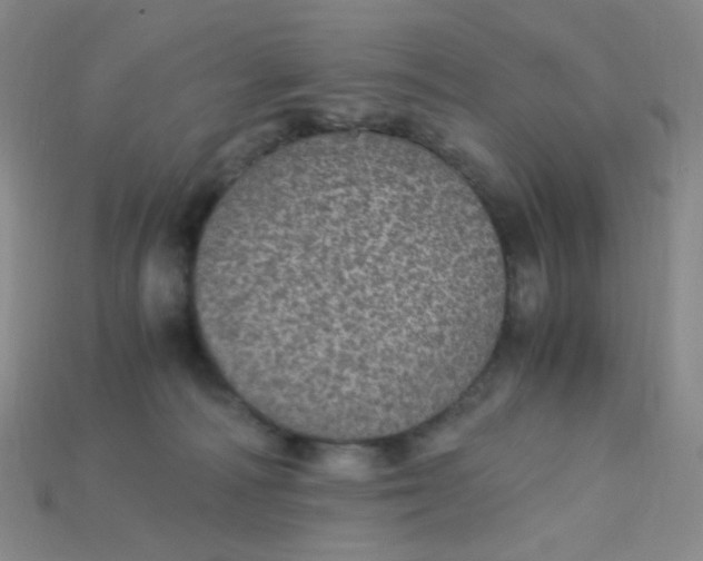 X0000115210226200911121911