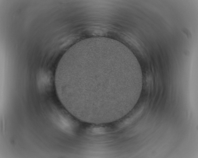 X0000115210228200911121911