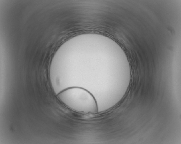 X0000115210229200911121911