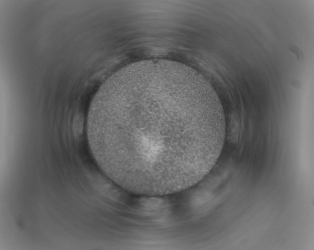 X0000115210230200911121911