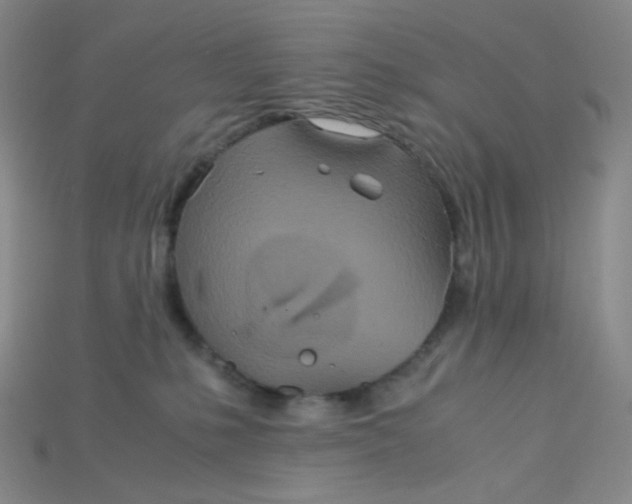 X0000115210231200911121910