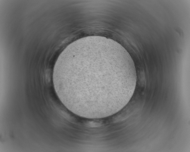 X0000115210232200911121910