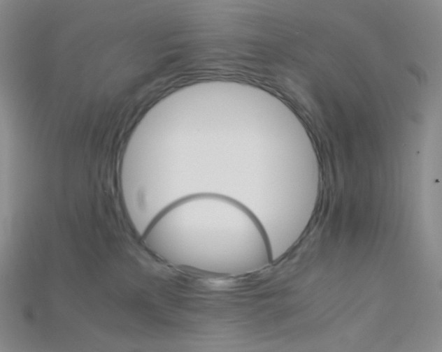 X0000115210233200911121910