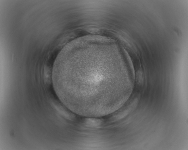 X0000115210234200911121910