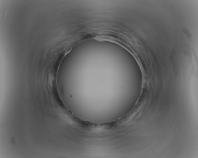 X0000115210235200911121910