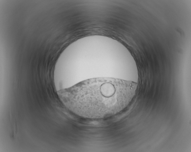X0000115210236200911121910