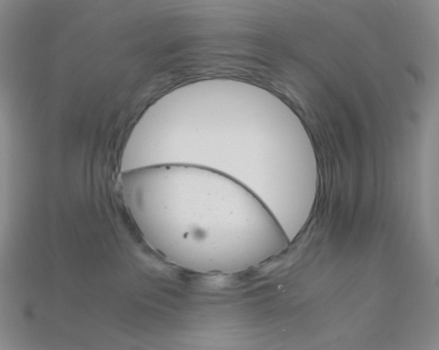 X0000115210237200911121910