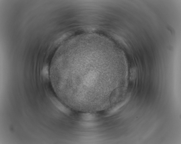 X0000115210238200911121910
